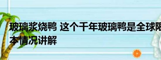 玻璃浆烧鸭 这个千年玻璃鸭是全球限量款 基本情况讲解