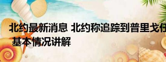 北约最新消息 北约称追踪到普里戈任“移动” 基本情况讲解