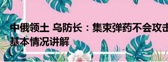 中俄领土 乌防长：集束弹药不会攻击俄领土 基本情况讲解