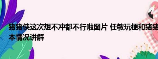 猪猪侠这次想不冲都不行啦图片 任敏玩梗和猪猪侠合影 基本情况讲解