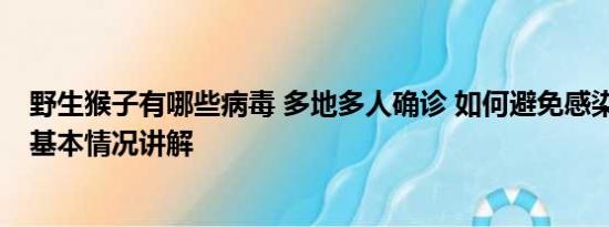 野生猴子有哪些病毒 多地多人确诊 如何避免感染猴痘病毒 基本情况讲解