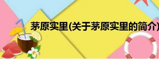 茅原实里(关于茅原实里的简介)