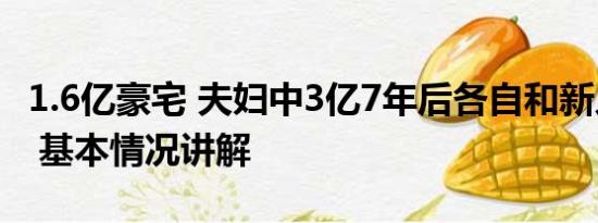 1.6亿豪宅 夫妇中3亿7年后各自和新人住豪宅 基本情况讲解