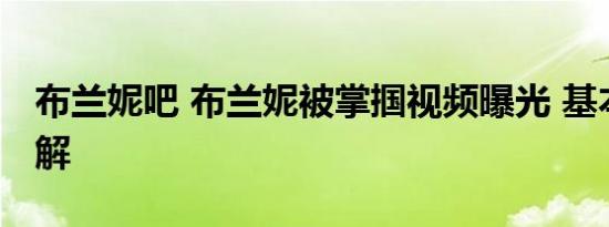 布兰妮吧 布兰妮被掌掴视频曝光 基本情况讲解