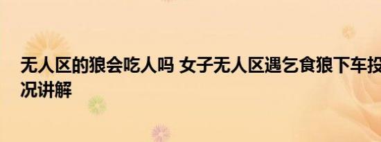 无人区的狼会吃人吗 女子无人区遇乞食狼下车投喂 基本情况讲解