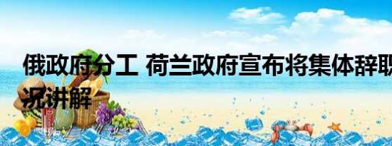 俄政府分工 荷兰政府宣布将集体辞职 基本情况讲解