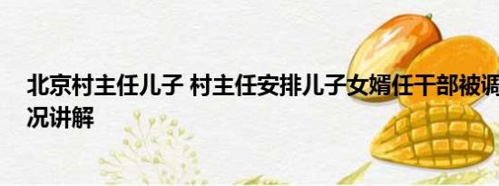 北京村主任儿子 村主任安排儿子女婿任干部被调查 基本情况讲解