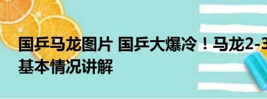 国乒马龙图片 国乒大爆冷！马龙2-3遭逆转 基本情况讲解