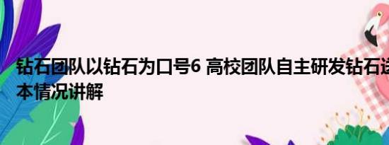 钻石团队以钻石为口号6 高校团队自主研发钻石送毕业生 基本情况讲解