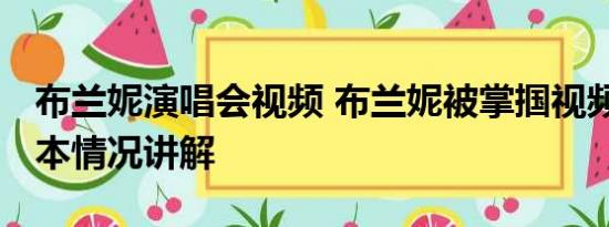 布兰妮演唱会视频 布兰妮被掌掴视频曝光 基本情况讲解