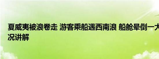 夏威夷被浪卷走 游客乘船遇西南浪 船舱晕倒一大片 基本情况讲解