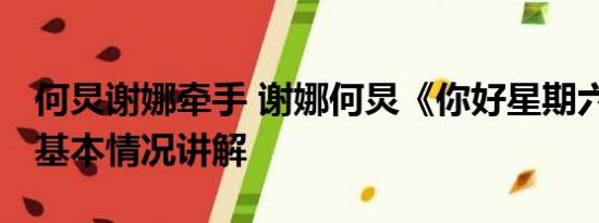 何炅谢娜牵手 谢娜何炅《你好星期六》同框 基本情况讲解