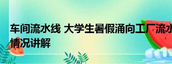 车间流水线 大学生暑假涌向工厂流水线 基本情况讲解