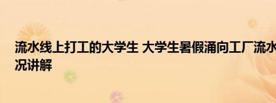 流水线上打工的大学生 大学生暑假涌向工厂流水线 基本情况讲解