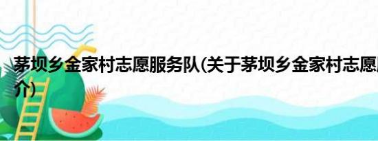 茅坝乡金家村志愿服务队(关于茅坝乡金家村志愿服务队的简介)