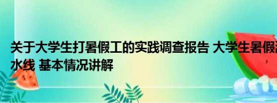 关于大学生打暑假工的实践调查报告 大学生暑假涌向工厂流水线 基本情况讲解