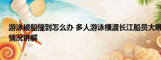 游泳被船撞到怎么办 多人游泳横渡长江船员大吼避让 基本情况讲解