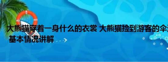 大熊猫穿着一身什么的衣裳 大熊猫捡到游客的伞还给撑开了 基本情况讲解