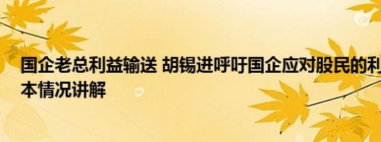 国企老总利益输送 胡锡进呼吁国企应对股民的利益负责 基本情况讲解