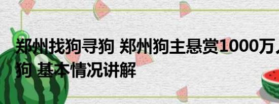 郑州找狗寻狗 郑州狗主悬赏1000万人民币寻狗 基本情况讲解