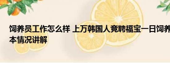 饲养员工作怎么样 上万韩国人竞聘福宝一日饲养员助理 基本情况讲解