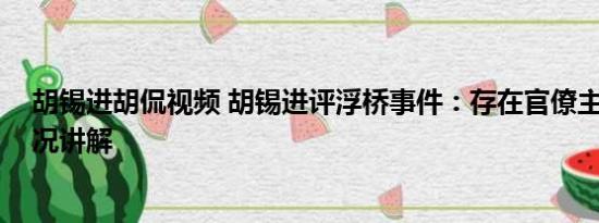 胡锡进胡侃视频 胡锡进评浮桥事件：存在官僚主义 基本情况讲解