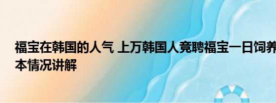 福宝在韩国的人气 上万韩国人竞聘福宝一日饲养员助理 基本情况讲解