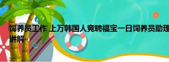 饲养员工作 上万韩国人竞聘福宝一日饲养员助理 基本情况讲解