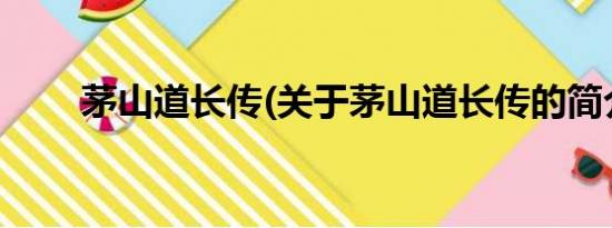 茅山道长传(关于茅山道长传的简介)