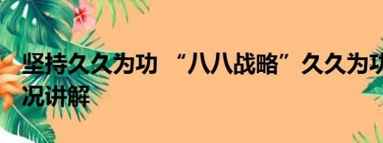 坚持久久为功 “八八战略”久久为功 基本情况讲解