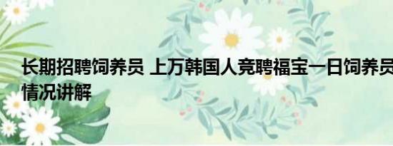 长期招聘饲养员 上万韩国人竞聘福宝一日饲养员助理 基本情况讲解