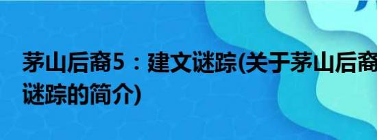 茅山后裔5：建文谜踪(关于茅山后裔5：建文谜踪的简介)