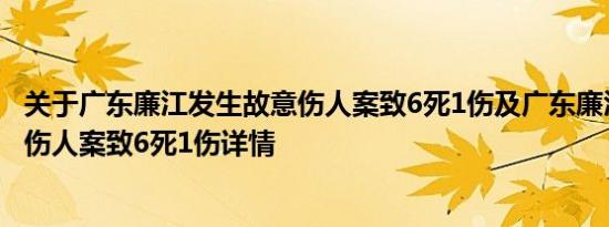 关于广东廉江发生故意伤人案致6死1伤及广东廉江发生故意伤人案致6死1伤详情