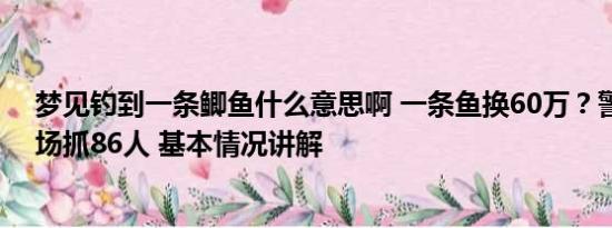 梦见钓到一条鲫鱼什么意思啊 一条鱼换60万？警方突袭钓场抓86人 基本情况讲解