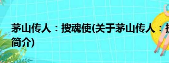 茅山传人：搜魂使(关于茅山传人：搜魂使的简介)