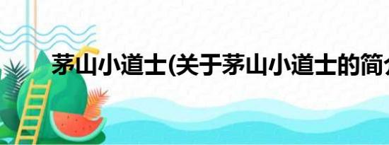 茅山小道士(关于茅山小道士的简介)