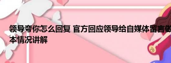 领导夸你怎么回复 官方回应领导给自媒体留言做个人吧 基本情况讲解