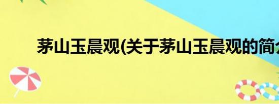 茅山玉晨观(关于茅山玉晨观的简介)