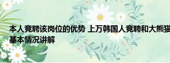 本人竞聘该岗位的优势 上万韩国人竞聘和大熊猫相关岗位 基本情况讲解