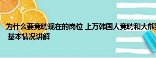 为什么要竞聘现在的岗位 上万韩国人竞聘和大熊猫相关岗位 基本情况讲解