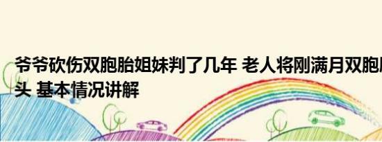 爷爷砍伤双胞胎姐妹判了几年 老人将刚满月双胞胎孙女扔街头 基本情况讲解