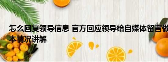 怎么回复领导信息 官方回应领导给自媒体留言做个人吧 基本情况讲解