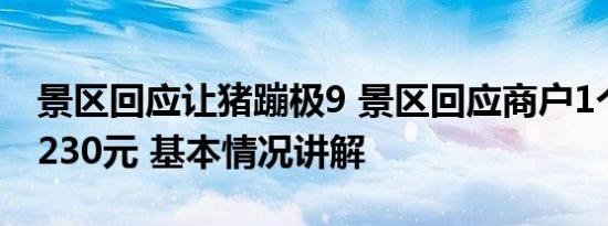 景区回应让猪蹦极9 景区回应商户1个西瓜卖230元 基本情况讲解