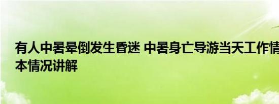 有人中暑晕倒发生昏迷 中暑身亡导游当天工作情况披露 基本情况讲解