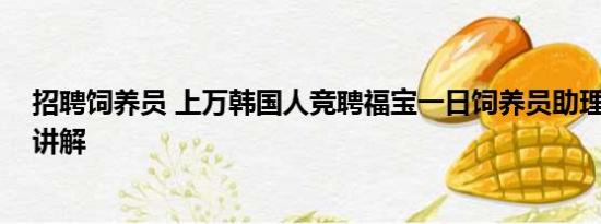 招聘饲养员 上万韩国人竞聘福宝一日饲养员助理 基本情况讲解