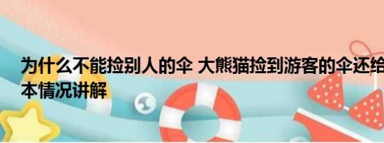 为什么不能捡别人的伞 大熊猫捡到游客的伞还给撑开了 基本情况讲解