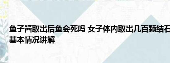 鱼子酱取出后鱼会死吗 女子体内取出几百颗结石如鱼子酱 基本情况讲解