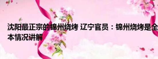 沈阳最正宗的锦州烧烤 辽宁官员：锦州烧烤是全国No.1 基本情况讲解