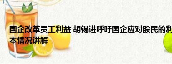 国企改革员工利益 胡锡进呼吁国企应对股民的利益负责 基本情况讲解