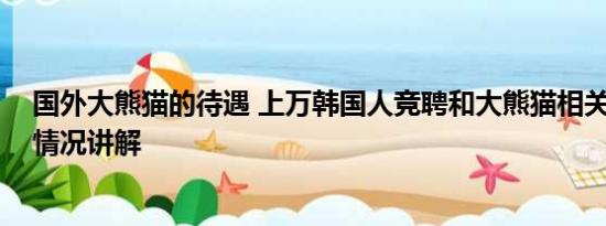 国外大熊猫的待遇 上万韩国人竞聘和大熊猫相关岗位 基本情况讲解